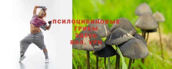 мескалин Осташков