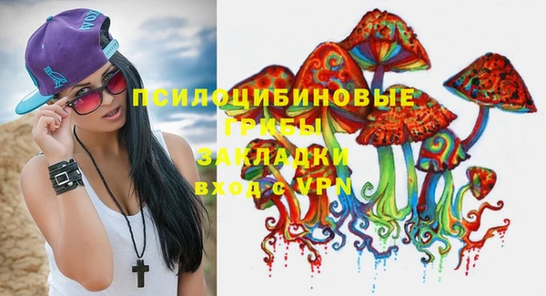 круглые Аркадак