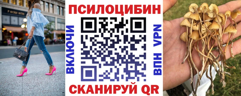 Псилоцибиновые грибы Psilocybine cubensis Афипский