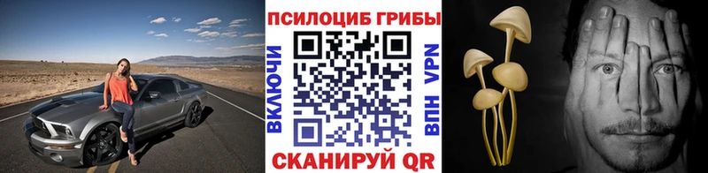 Галлюциногенные грибы Cubensis omg зеркало Афипский купить закладку
